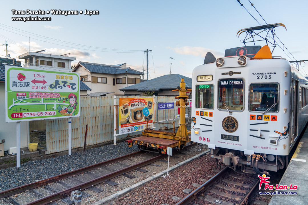 Tama Densha